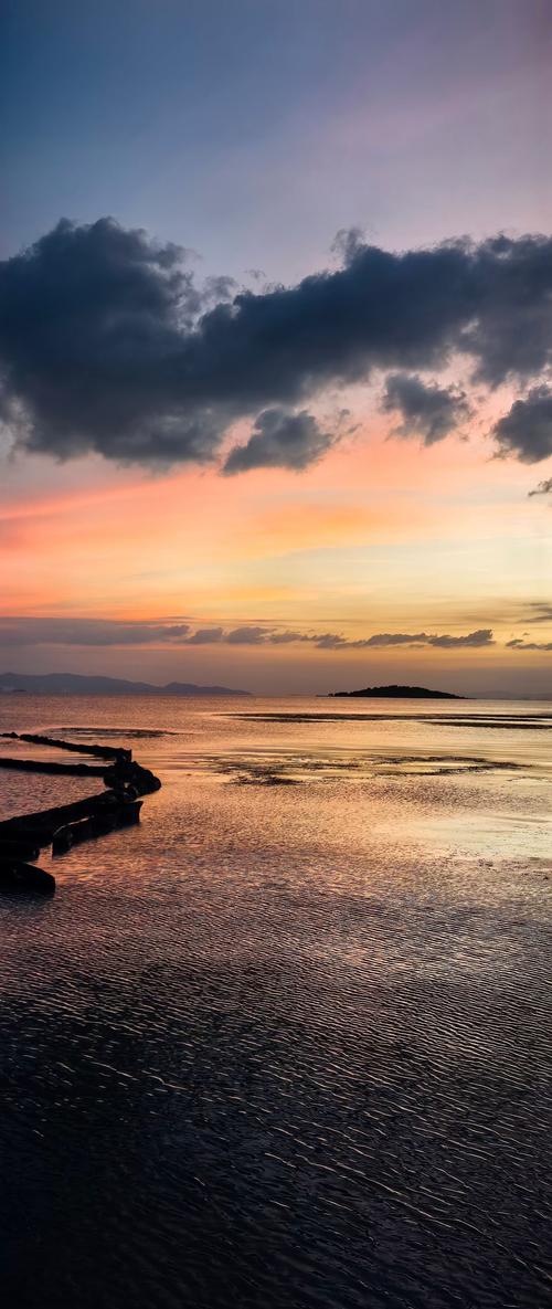 免费的站群软件