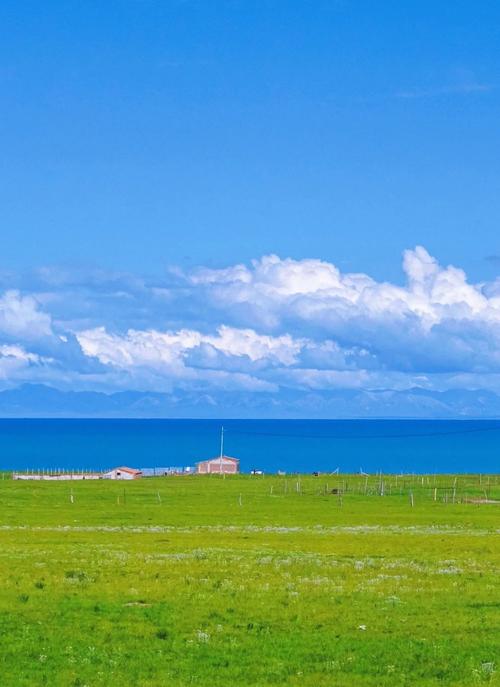 站群服务器介绍